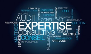 Expertise audit conseil consultant tagcloud mots illustration